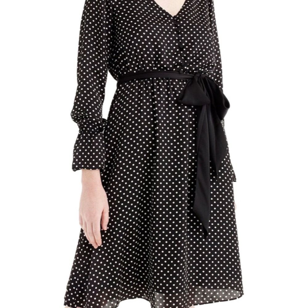 J Crew Long Sleeve Polka Dot Dress